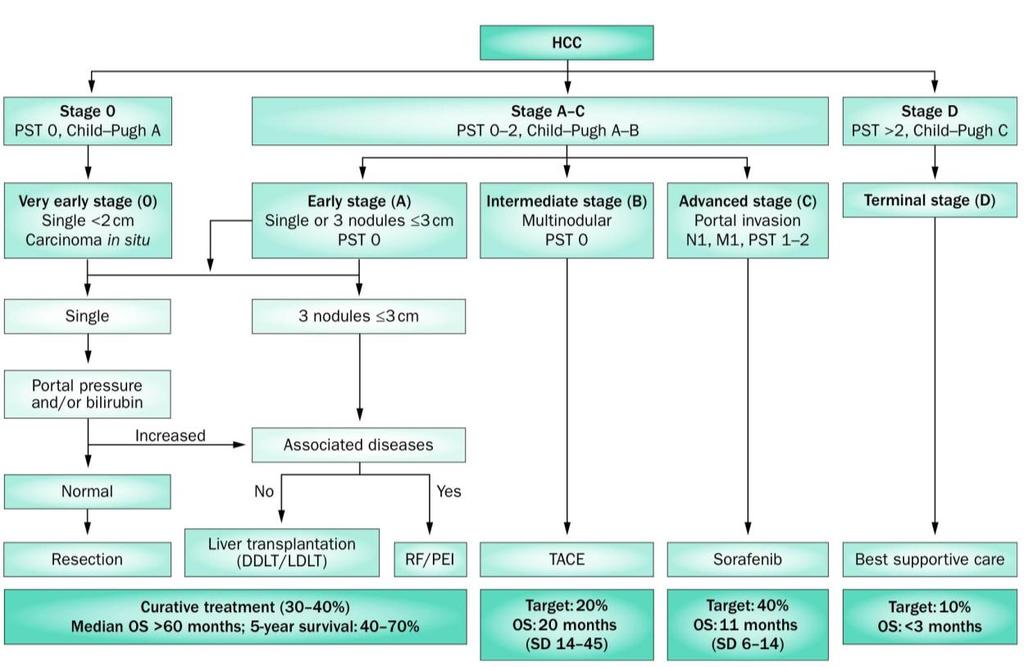 albumina, ascite ed encefalopatia. Figura 2: Nat Rev Gastroenterol Hepatol.