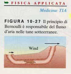 TEOREMA di BERNOULLI p v h + + = dg g kost conseguenze favorisce la ventilazione nelle tane degli animali 0 Foto tratta da Giancoli, Fisica ed.