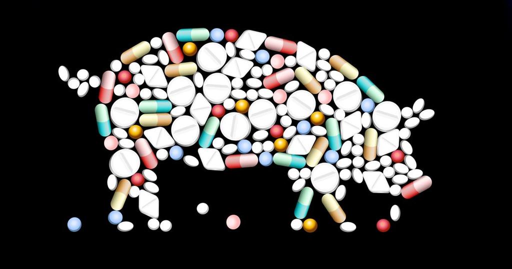 L Italia ha concordato con la Commissione Europea una ulteriore significativa riduzione dell uso di antibiotici negli allevamenti.