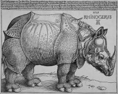 (Albrecht Dürer, Rinoceronte) Importanza di trattare le problematiche geotecniche in modo quantitativo con indagini geotecniche opportunamente programmate e interpretate dal progettista!
