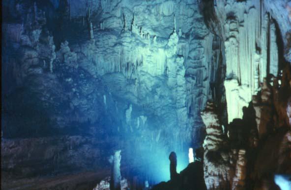 SPELEOTEMI Gli speleotemi sono sicuramente la