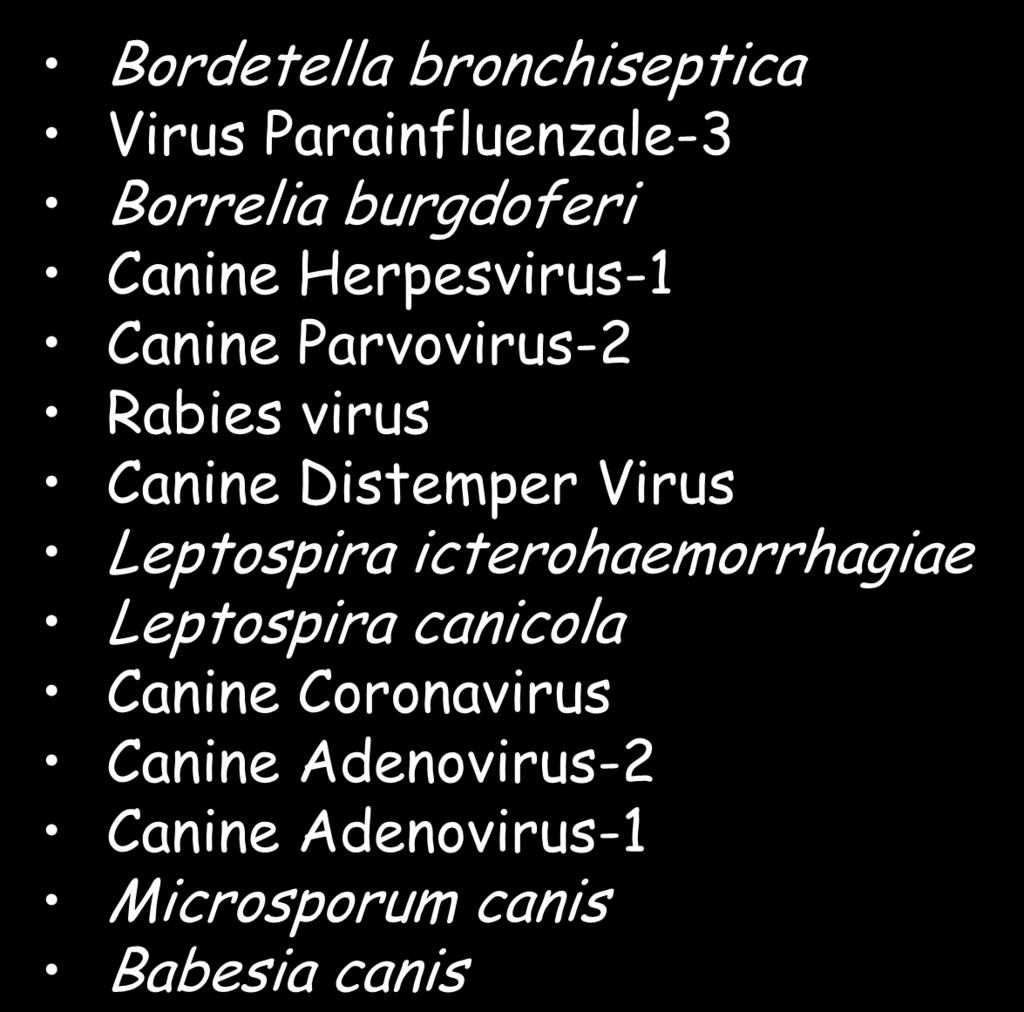 Parvovirus-2 Rabies virus Canine Distemper Virus Leptospira icterohaemorrhagiae