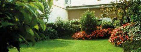 Questa tipologia di copertura verde rappresenta il giardino classico provvisto di prato, cespugli e alberi così come sul suolo naturale.