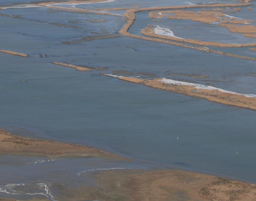 dello Stato Ente di gestione per i Parchi e la Biodiversità-Delta del Po Comune