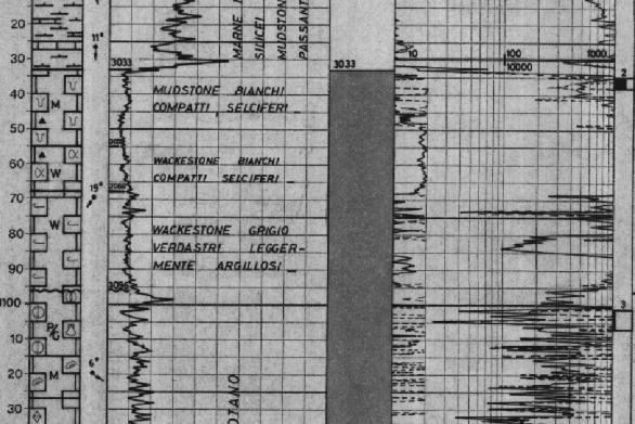 PROFILI DI POZZO (UNMIG) I dati di pozzo