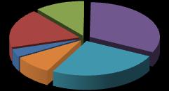 4 I conducenti Nel 2010 i conducenti di veicoli coinvolti in sinistri stradali nel territorio pugliese sono stati più di 21mila di cui circa il 78% è di sesso maschile.