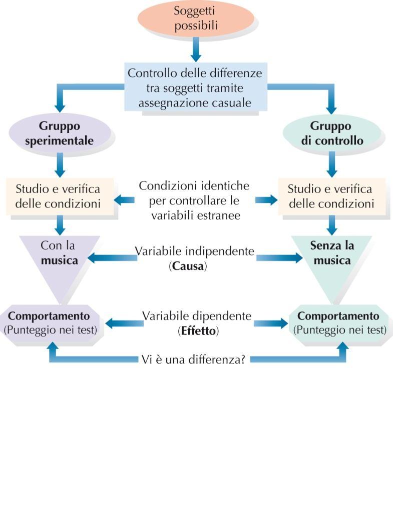 Elementi di un esperimento ideato per stabilire gli effetti dell