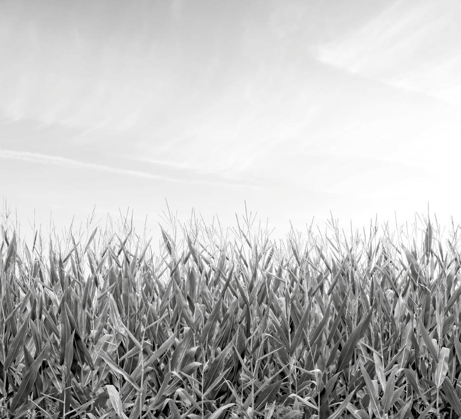 pneumatico di trasporto del fertilizzante.