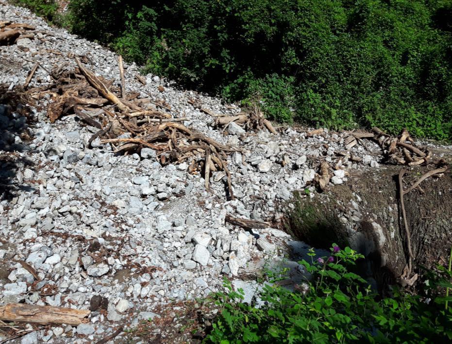 Pendici montane nella frazione di Campi: Interventi di protezione e