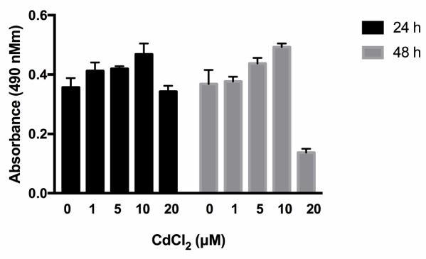 Scopo dello Studio: - valutare il potenziale effetto del cadmio sulla modulazione del recettore androgenico ed estrogenico e sull omeostasi in cellule endoteliali in vitro.