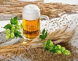 La birra Le materie prime usate nella produzione della birra sono: Acqua, malto d orzo e suoi succedanei, luppolo