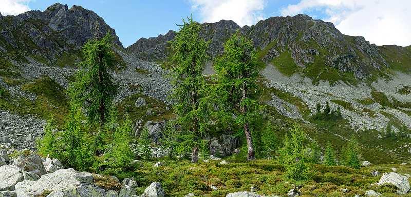 Creano un terreno adatto allo sviluppo di