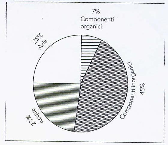 SUOLO Mezzo nutritivo per la pianta Materiale eterogeneo costituito da tre fasi: 1.