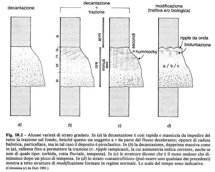 Strati organizzati Gradati (a) gradati e laminati (b e c)