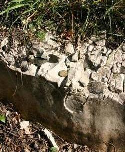 Marne, calcari marnosi, ecc marna (argillite ) Marna: roccia clastica