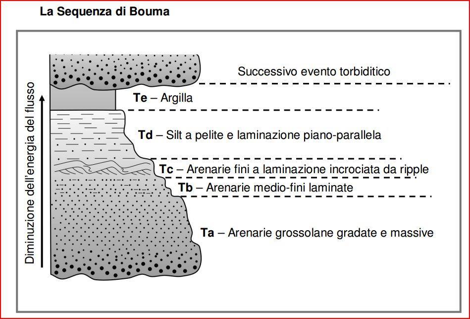 Ogni evento torbiditico genera uno strato..speciale con strutture interne (Alfred H. Bouma, geologo olandese.