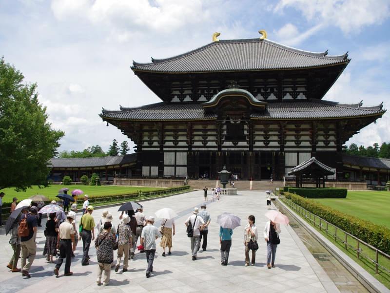 A partire dal Fujiyama, proseguendo con i parchi nazionali dell Hokkaido o di Nikko e Hakone, terminando con le zone costiere del Kyushu e dello Shikoku, la Natura giapponese è amata e riverita come