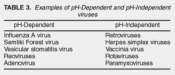 Virus nudi: traslocazione attraverso la membrana Adenovirus Virus nudi: endocitosi Picornavirus Penetrazione dei virus con envelope La fusione è promossa da proteine fusogene presenti nell envelope