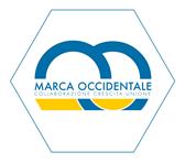 UNIONE DI COMUNI MARCA OCCIDENTALE COPIA Resana Vedelago Loria Riese Pio X DELIBERAZIONE CONSIGLIO DELL UNIONE N.