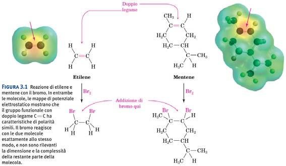 Gruppi funzionali Gruppi funzionali La reattività chimica di ogni molecola organica, indipendentemente dalle sue dimensioni o dalla sua complessità, è determinata dai gruppi funzionali che essa