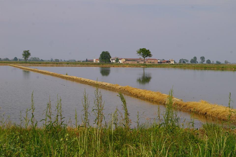 ( ) il paesaggio coopera all'elaborazione delle culture locali e rappresenta una componente fondamentale del patrimonio culturale e naturale dell'europa, contribuendo