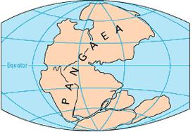 20/10/2014 15 L origine geologica d Italia All inizio era la PANGEA 325 milioni di anni fa si