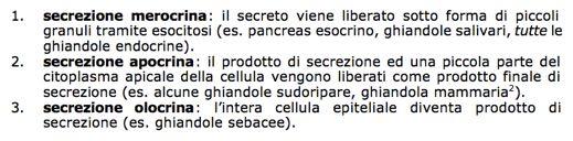 contrattili che favoriscono l espulsione del