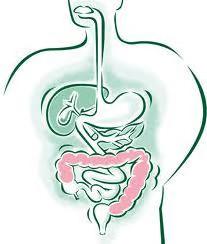 PROBIOTICI E PREBIOTICI: SAI COSA SONO?