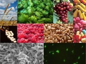 PREBIOTICI I prebiotici, invece, non contengono fermenti vivi, ma delle sostanze, come fibre e zuccheri, che nutrono i microrganismi probiotici e ne stimolano lo sviluppo e la crescita.