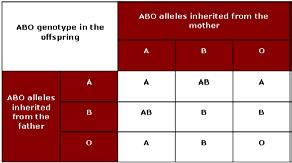 Riepilogo Sistema gruppo ABO del sangue Un uomo del gruppo sanguigno B viene citato in tribunale per un caso di paternità da una donna di gruppo sanguigno A.