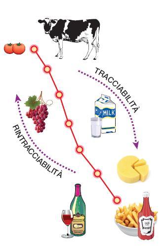 Pag. 156 La sicurezza alimentare in Europa Nel 2000 l UE ha pubblicato il Libro Bianco sulla sicurezza alimentare nuovo approccio alla prevenzione e ai controlli degli alimenti che coinvolge tutti