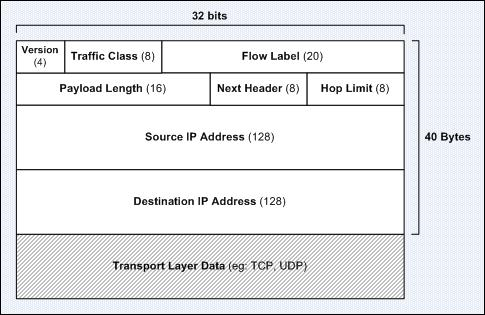 IPv6 Header