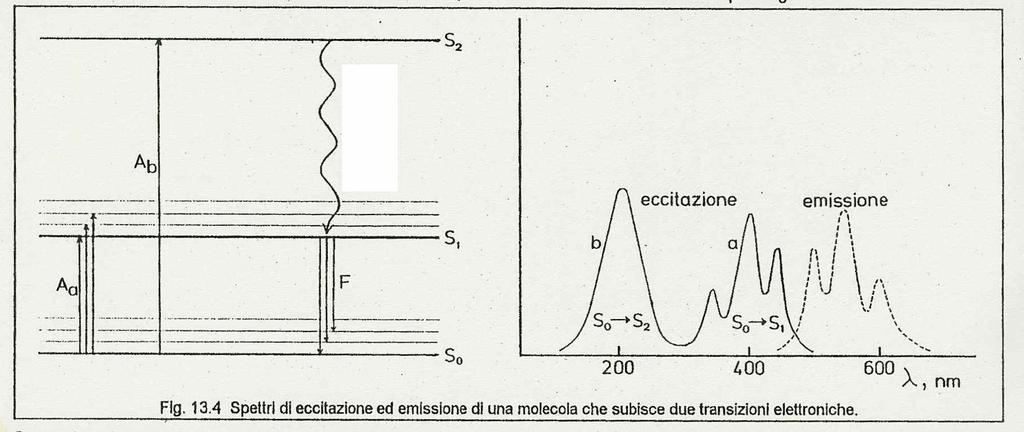 differenza di energia tra 2 stati elettronici eccitati è molto minore della loro differenza di energia con lo stato fondamentale).