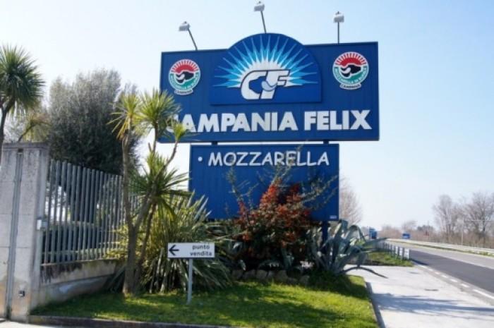 Campania Felix, l ingresso La storia di quest azienda si concentra intorno alla famiglia Parente, che parte con un allevamento bufalino per la produzione di latte nato nel 1919 per volontà di Enrico