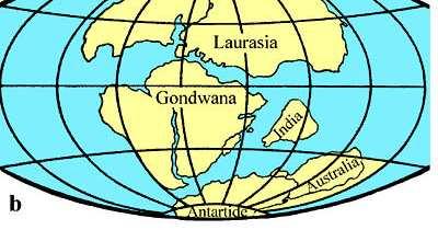 In seguito la Pangea si separò in due grandi blocchi continentali: Laurasia a Nord, comprendente l America settentrionale l Europa e l Asia, e Gondwana a Sud comprendente l'america