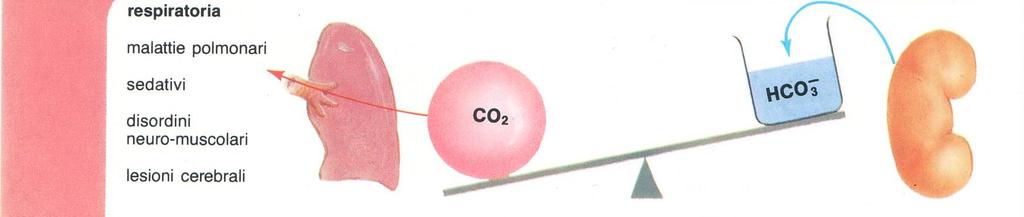 Acidosi Respiratoria PaO 2 :