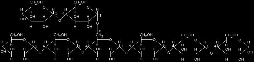 Differenza tra amilosio e amilopectina: Amilosio: polimero lineare del glucosio con legami (1 4) con conformazione ad elica.