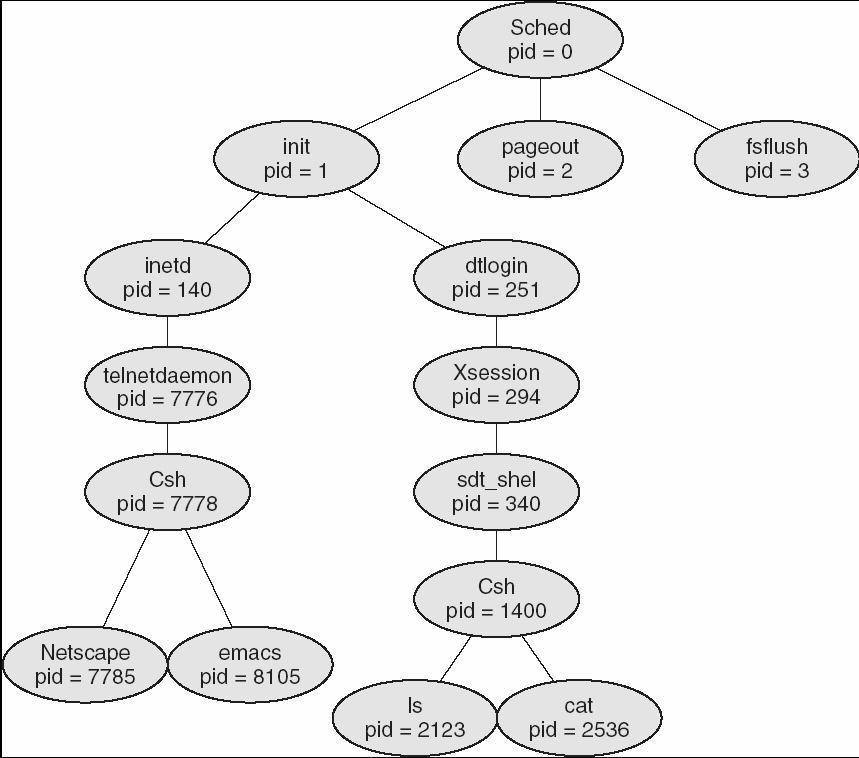 Tipico albero di generazione di processi in Solaris Sistemi Operativi L-A - Processi UNIX 51 Interazione con l utente l tramite shell Ogni utente può interagire con lo shell mediante la specifica di