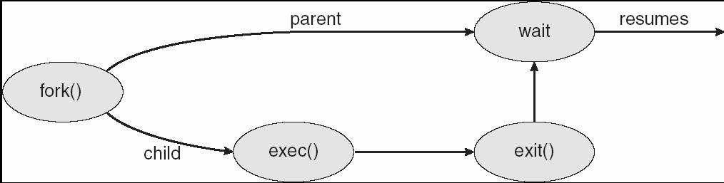 System call per la gestione di processi Chiamate di sistema per creazione di processi: fork() sostituzione di codice e dati: exec.