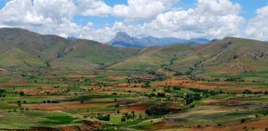 «Madagascar Exotic» per un anteprima di camaleonti, coccodrilli, serpenti, farfalle, pipistrelli ed avere il primo contatto con i simpatici lemuri. Proseguimento per Andasibe.