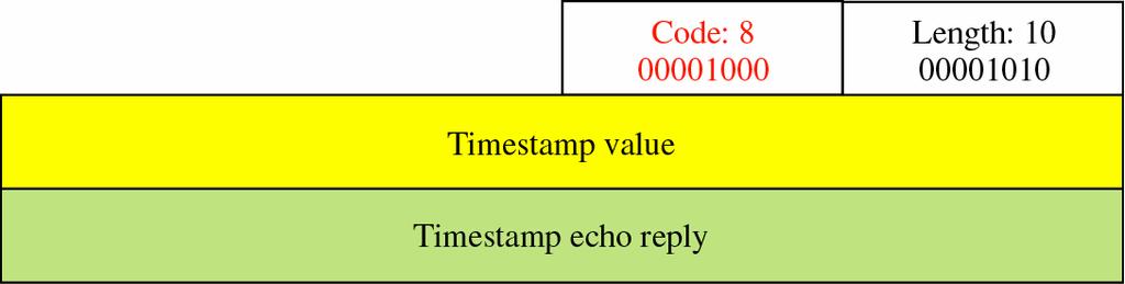 Opzioni: timestamp (poco usata) Usata per stimare il Round Trip Time (RTT) La sorgente stampa l istante di trasmissione del pacchetto in