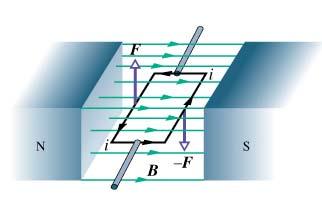orza agente su una Spira Per fili rettilinei di lunghezza l in cui passa una corrente i immersi in un campo magnetico costante nello spazio diventa tot il Se il circuito ha la superficie parallela