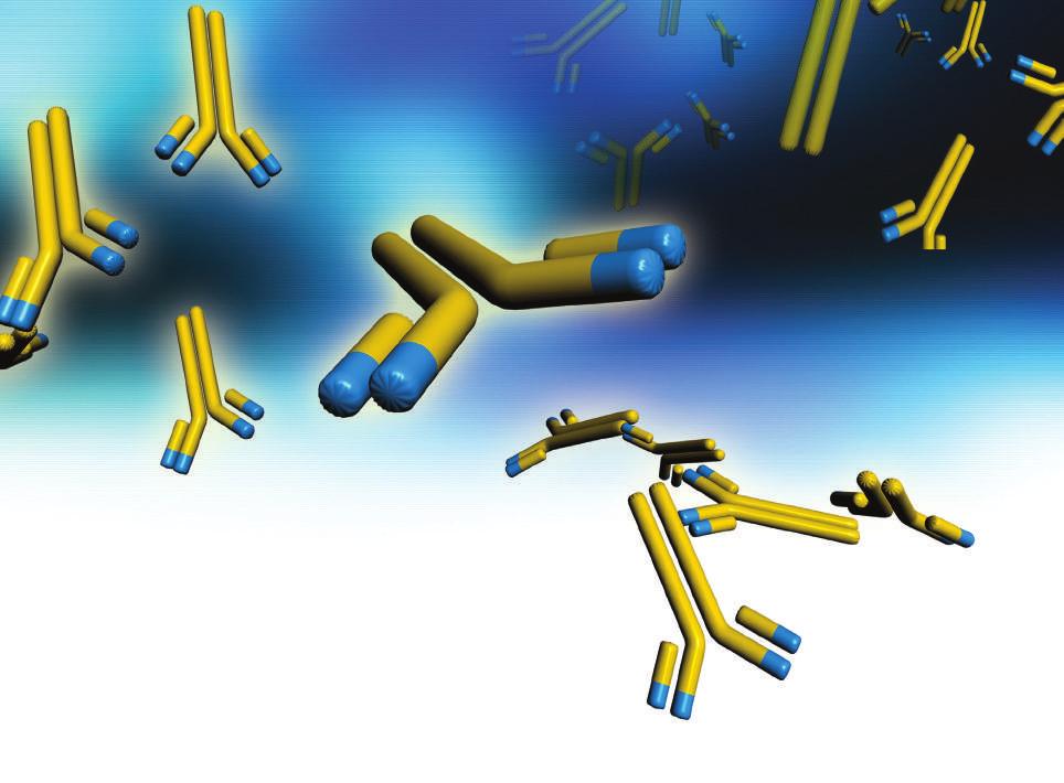 un giustificato entusiasmo per l immunoterapia adottiva in Ematologia, molti ostacoli devono ancora essere affrontati prima che la terapia con cellule CAR possa entrare nell armamentario terapeutico