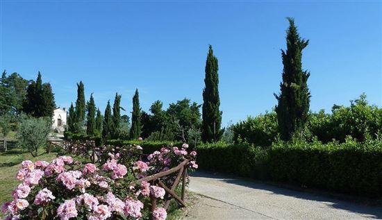 com/en/property/600/sale-farm-with-a-farm-of-60-hectares-in-tuscany Area Municipality