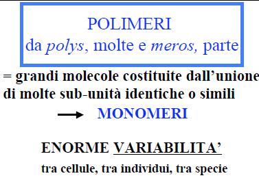 polimeri Molte molecole organiche di grandi dimensioni (macromolecole) sono