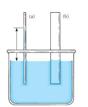 LE CARATTERISTICHE FONDAMENTALI DELL ACQUA.