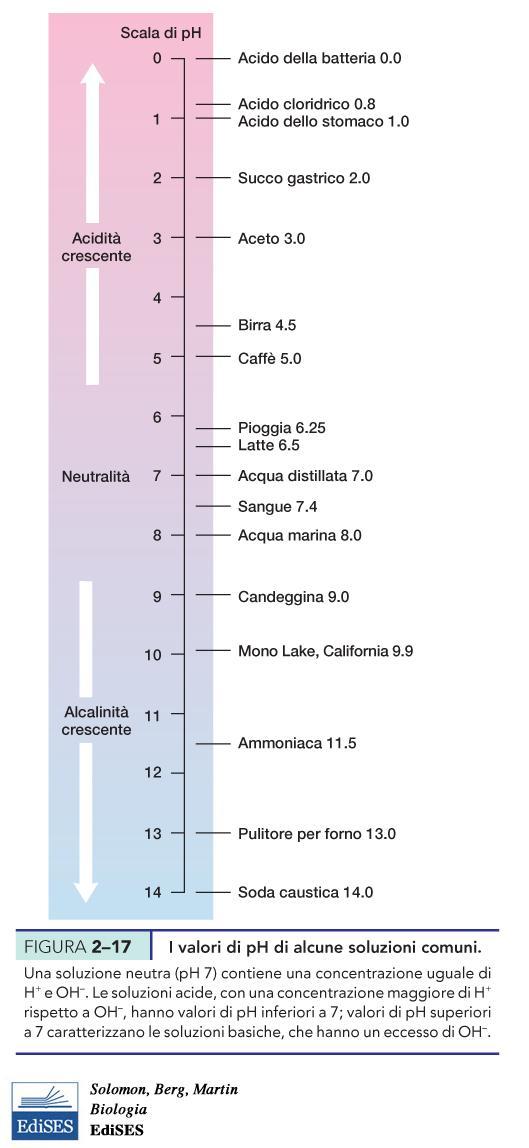 ph = - log10 [ H + ] 0.01= 10-2 moli/litro 0.00001= 10-5 moli/litro 0.