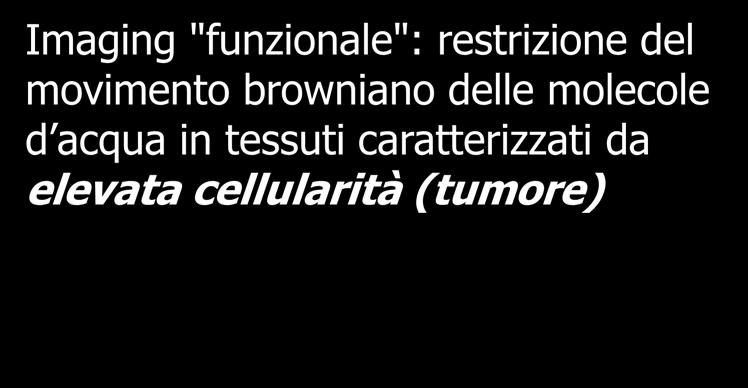 "funzionale": restrizione