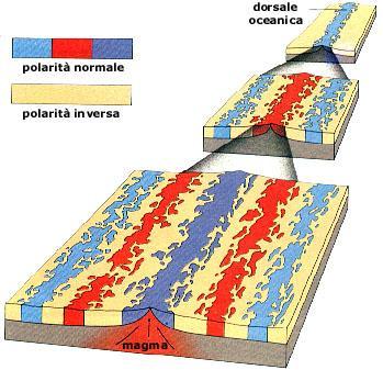 Quando una roccia fusa o del magma risale in superficie, le particelle di ossido di ferro presenti si dispongono orientandosi secondo le linee magnetiche e lì vengono immobilizzate con il processo di