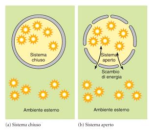 Termodinamica: studio dell energia e